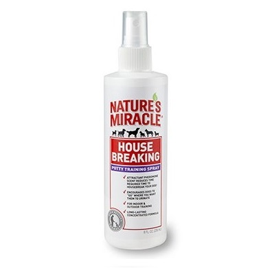 NM HOUSEBREAKING, ENSEÑADOR1