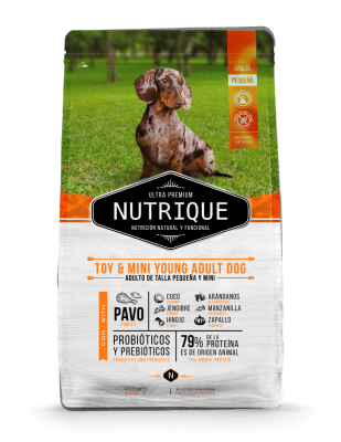 NUTRIQUE TOY & MINI YOUNG ADULT DOG