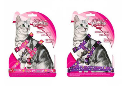 PAWISE ARNES CON TRAILLA