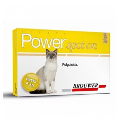 POWER ULTRA GATO HASTA 4K1
