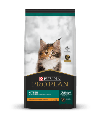 PRO PLAN CAT KITTEN