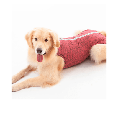 ROPA NPQ-PERRO 10R1