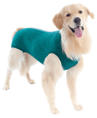 ROPA NPQ-PERRO 0V