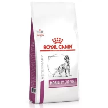 MOBILITY SUPPORT CANINE