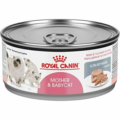 ROYAL CANIN MOTHER & BABYCAT WET1