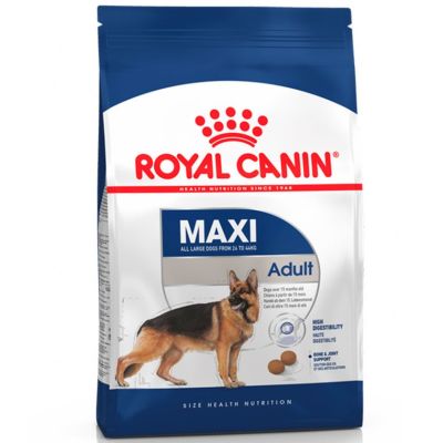 ROYAL CANIN MAXI ADULT 15KG1