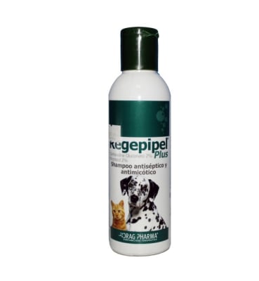 SHAMPOO REGEPIPEL