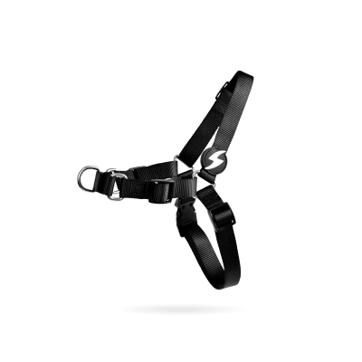 DS SOLID BLACK FRONT HARNESS1