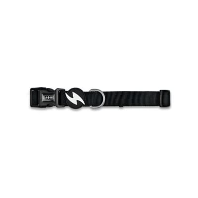 DS SOLID BLACK LEASH