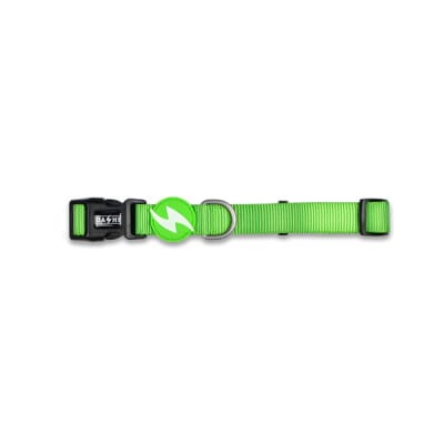DS SOLID GREEN LEASH