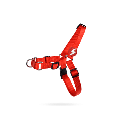 DS SOLID RED FRONT HARNESS1