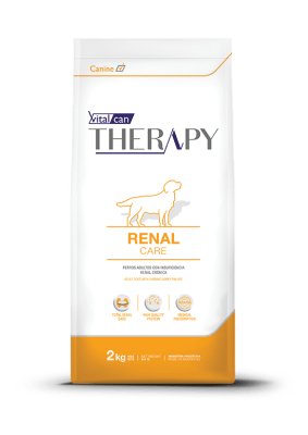 THERAPY CANINE RENAL CARE