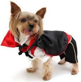 DISFRAZ VAMPIRO