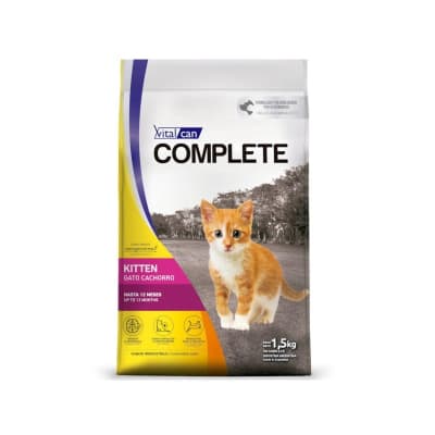COMPLETE GATO KITTEN1