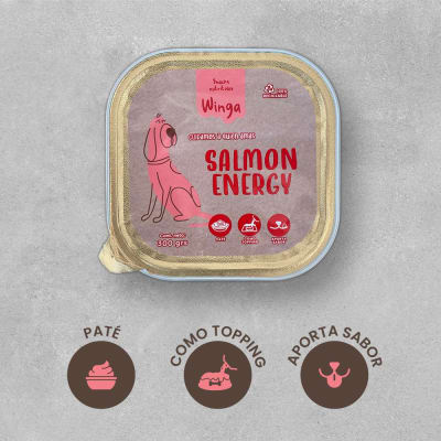WINGA SALMON ENERGY 300GR