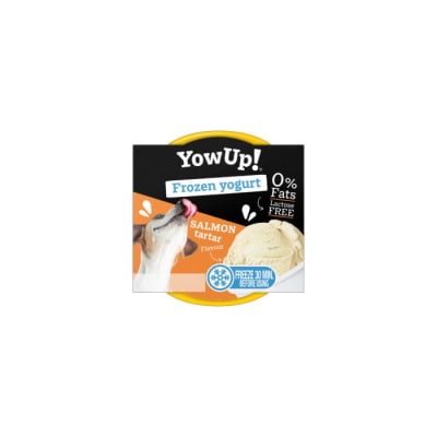 HELADO YOW UP SALMON TARTAR 110GR