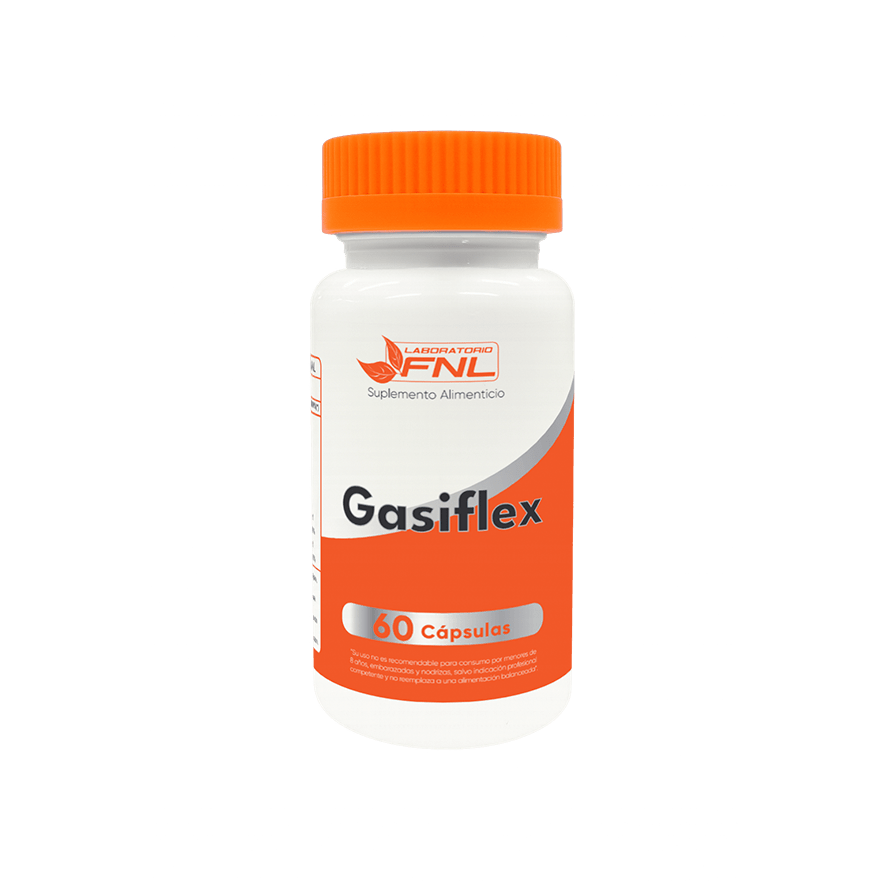 Gasiflex1