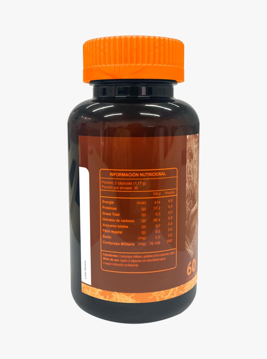 Cordyceps2