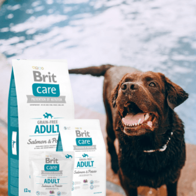 brit care