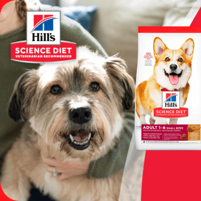 hill s