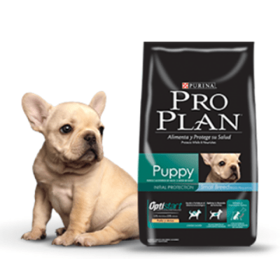 pro plan