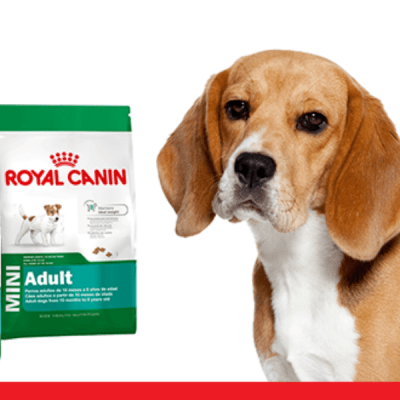 royal canin
