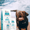 brit care