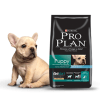 pro plan