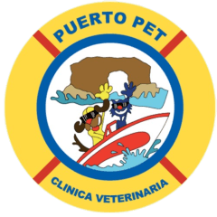PuertoPet Frutillar