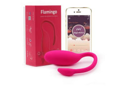 Flamingo Magic Motion App