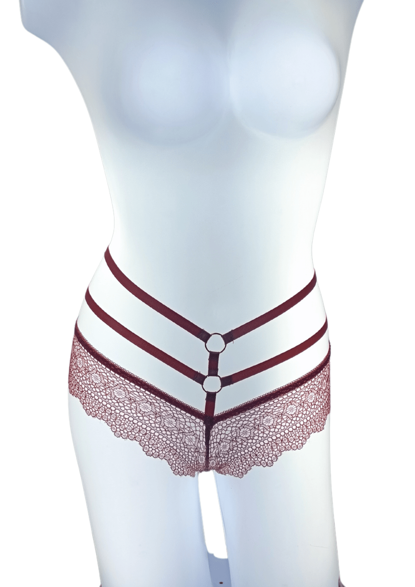 Pantaleta Doble Argolla Encaje1