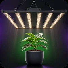 Iluminación / LED