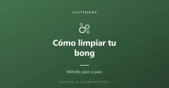 Cómo limpiar tu bong y tus pipas