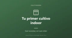 Tu primer cultivo indoor paso a paso