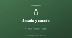 Secado y curado: cómo no arruinar la cosecha
