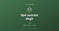 Qué sustrato elegir: tierra, coco o mezcla