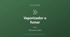 Vaporizador o fumar: diferencias reales
