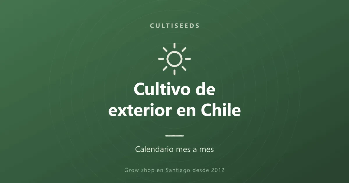 Cultivo de exterior en Chile: calendario mes a mes