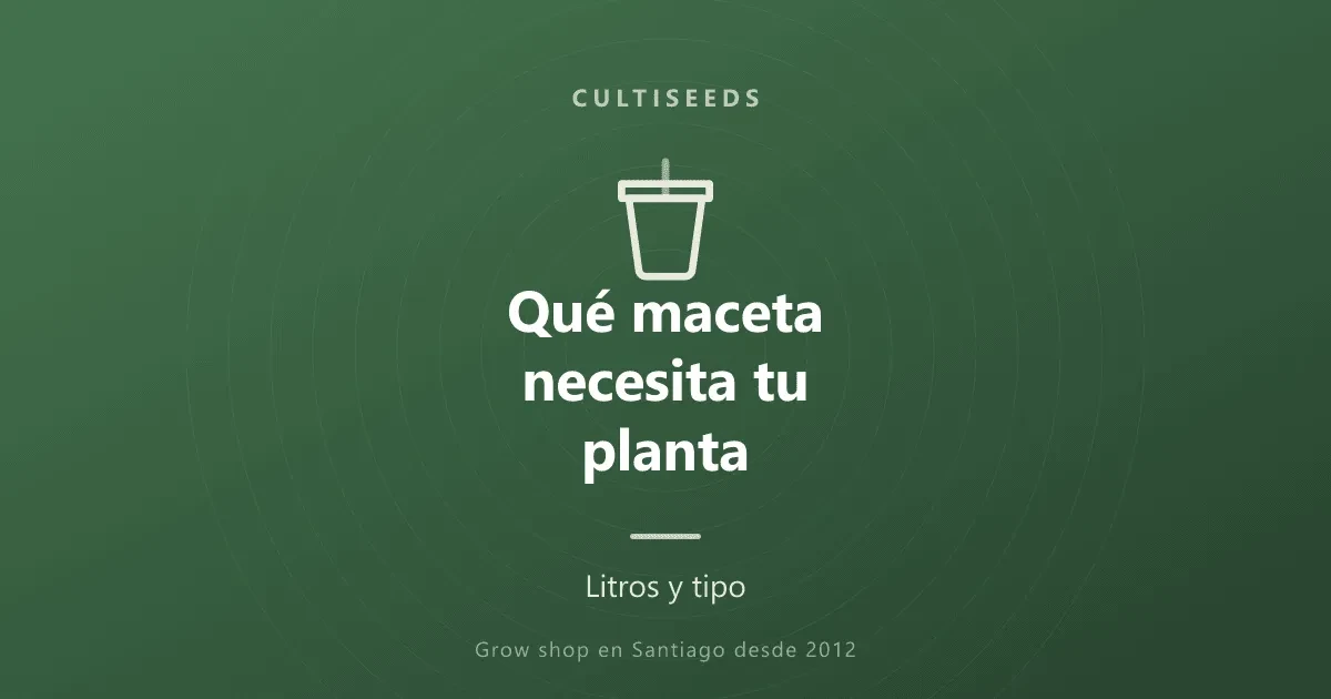 Qué maceta necesita tu planta: litros y tipo