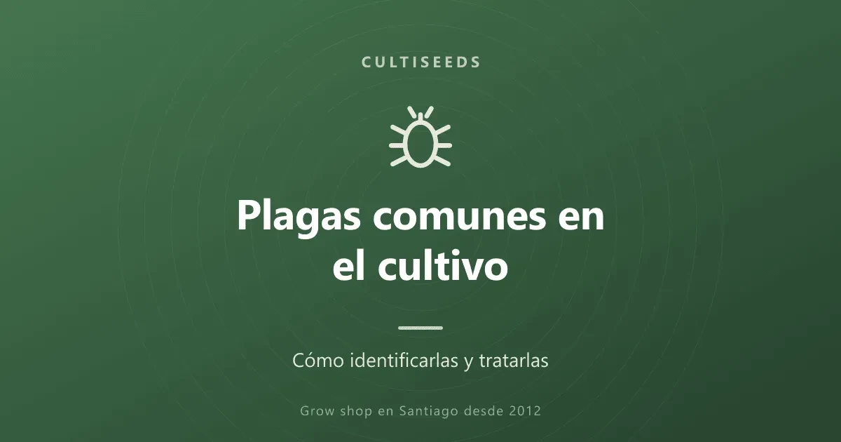 Plagas comunes en el cultivo y cómo tratarlas