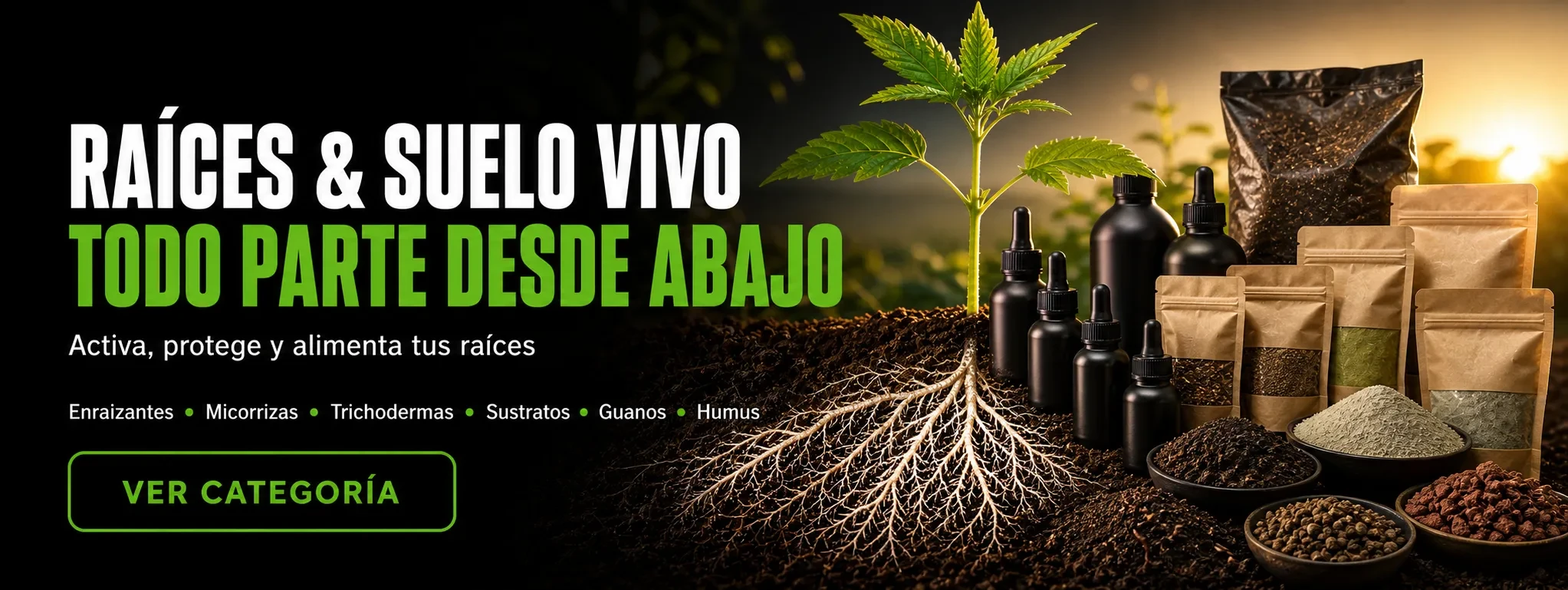 Raíces y Suelo Vivo