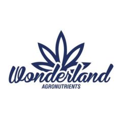 WONDERLAND