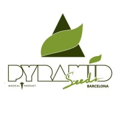 PYRAMID SEEDS