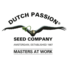 DUTCH PASSION