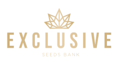 EXCLUSIVE SEEDS