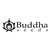 BUDDHA SEEDS