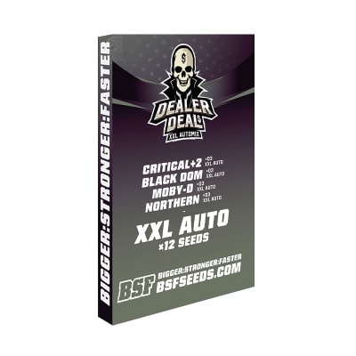 BSF Dealer Deal Xxl Automix X12 BSF Dealer Deal Xxl Automix X12