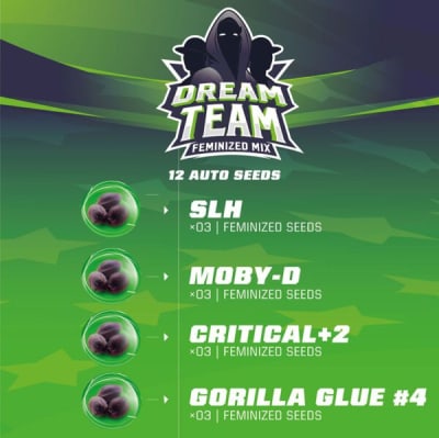 BSF Dream Team Feminized Mix X12 BSF Dream Team Feminized Mix X12
