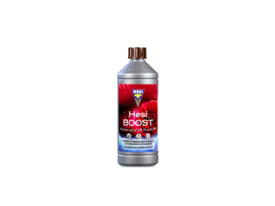 HESI BOOST HESI BOOST