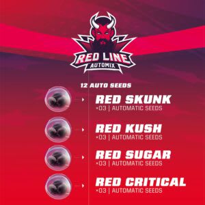 BSF Red Line Automix X12 BSF Red Line Automix X12